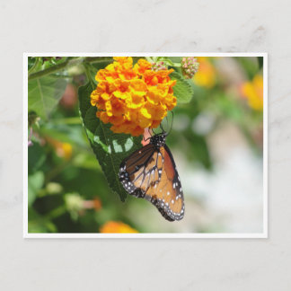 Postal de la mariposa de monarca