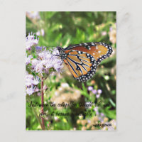 Postal de la mariposa de monarca