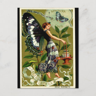 postal de la MUJER DE LA MARIPOSA