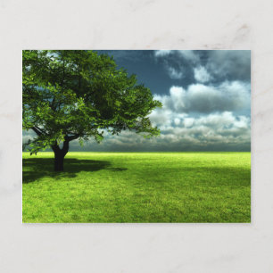 Postal de la naturaleza
