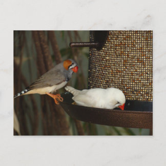 POSTAL DE LA NATURALEZA