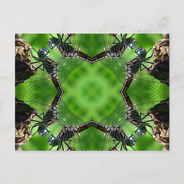 Postal de la naturaleza del arte del caleidoscopio (Anverso)