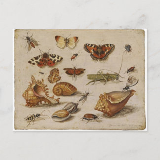 Postal de la naturaleza del vintage