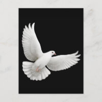 Postal de la paloma blanca volante