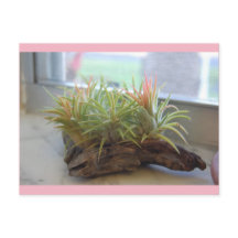 Postal de la planta de aire