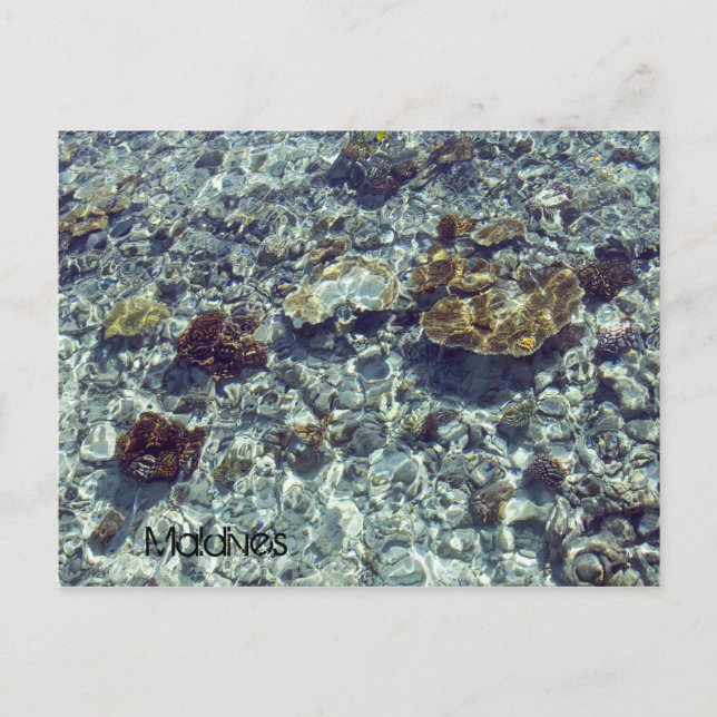 Postal de la playa de Maldivas (Anverso)