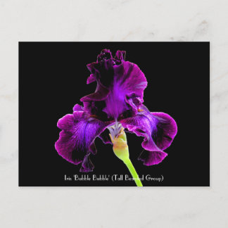 Postal De la "postales cobrables burbuja de la burbuja"