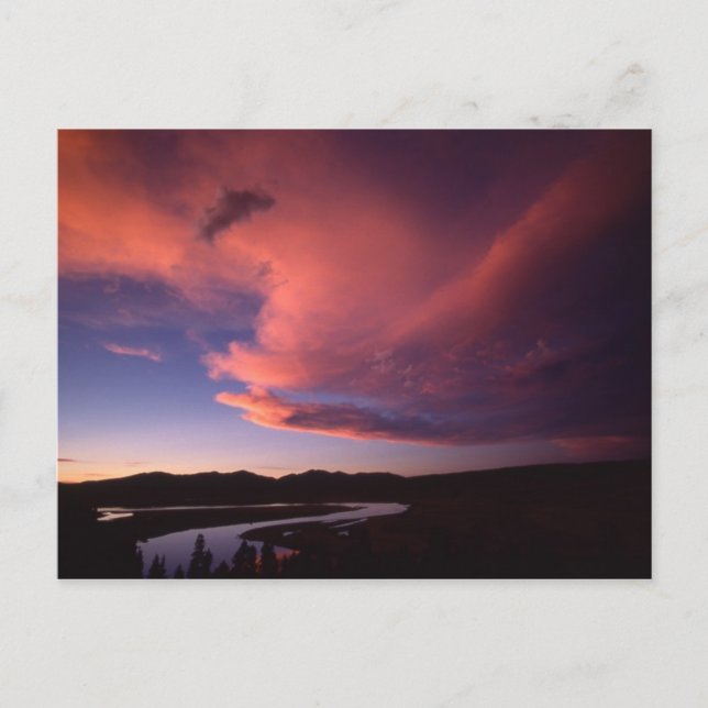 Postal de la puesta de sol en Hayden Valley (Anverso)