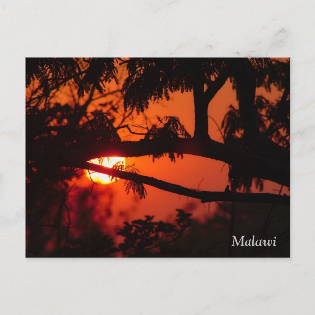 Postal de la puesta de sol en Malawi, África (Anverso)