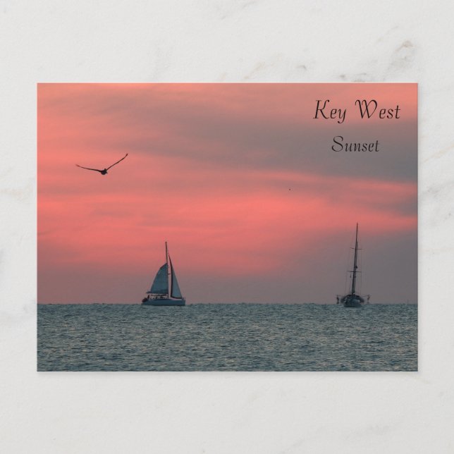Postal de la puesta del sol de Key West (Anverso)