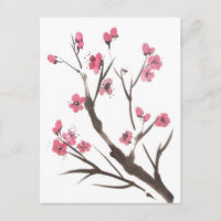 Postal de la puntilla del flor del ciruelo