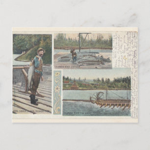 Postal de la rueda de Sturgeon Salmon