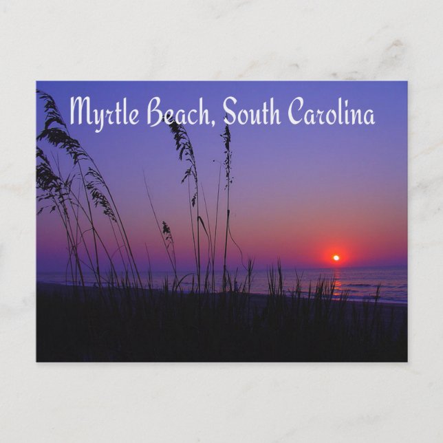 Postal de la salida del sol de Myrtle Beach South  (Anverso)