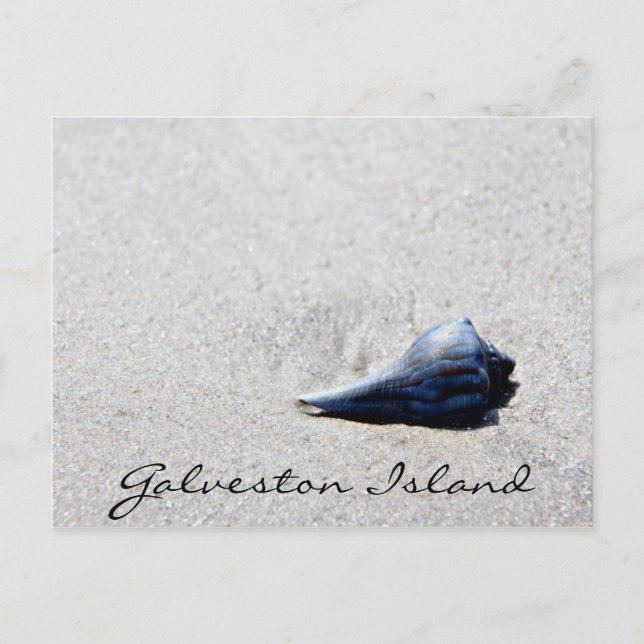 Postal de la Shell de la isla Galveston (Anverso)