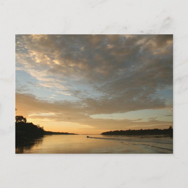 Postal de la Sociedad Humana Amazónica: Hermosa Am (Anverso)