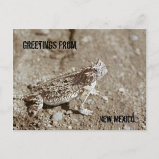 Postal de la toalla de nuevo México
