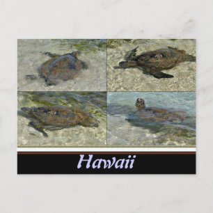 Postal de la tortuga del mar de Hawái