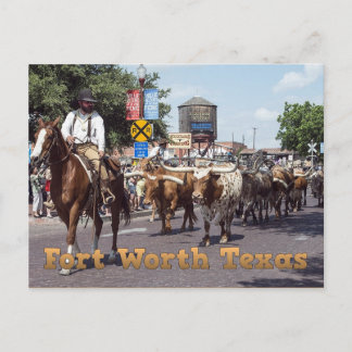Postal de la unidad de ganado de Texas Memorable F
