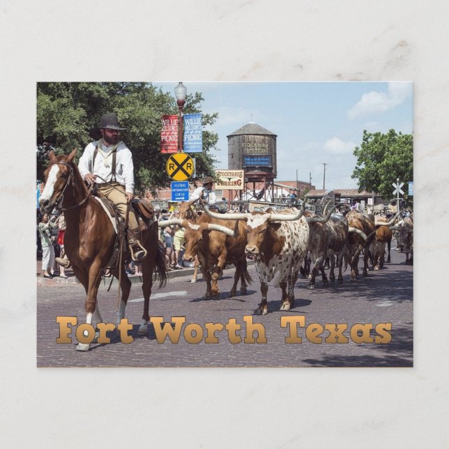 Postal de la unidad de ganado de Texas Memorable F (Anverso)