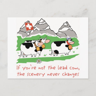 Postal de la vaca de la ventaja