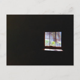 Postal de la ventana del Daffodil de Vintage