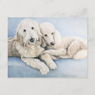 Postal de Labradoodle y de Arte de Perro de Carne 