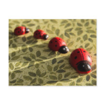 postal de Ladybugs