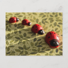 postal de Ladybugs
