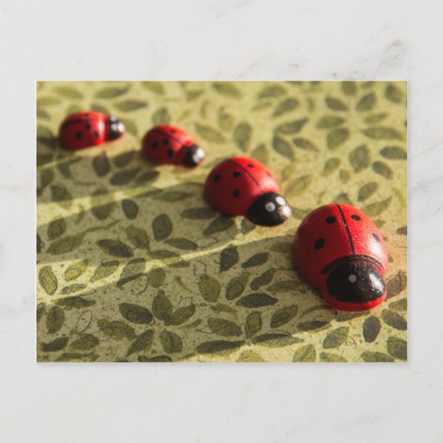 postal de Ladybugs (Anverso)