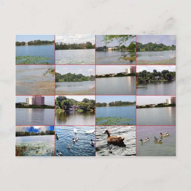 Postal de Lake Collage (Anverso)