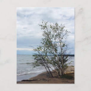 Postal de Lake Superior