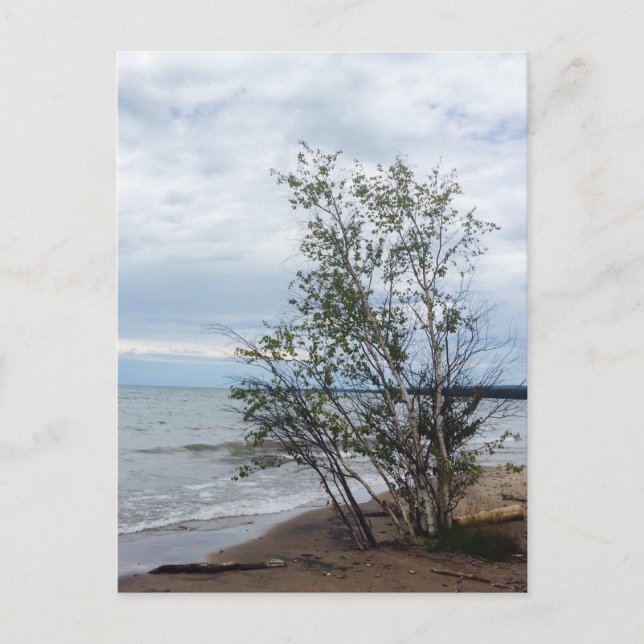 Postal de Lake Superior (Anverso)