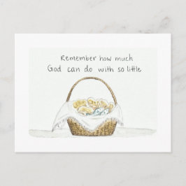 postal de langostas y peces