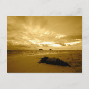 postal de Lanikai Sunrise
