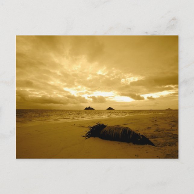 postal de Lanikai Sunrise (Anverso)