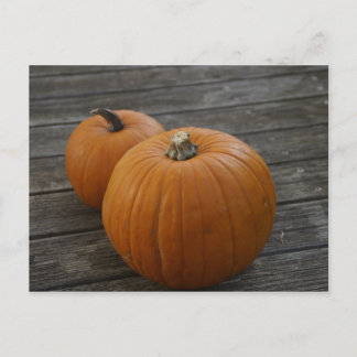 Postal de las calabazas de plumón de bonito