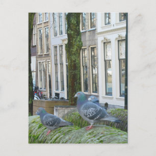 Postal de las casas del canal holandés y de las pa