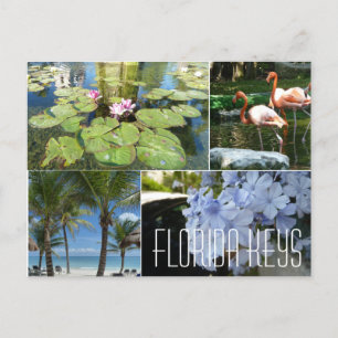 Postal de las claves de Florida