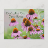 Postal de las flores de Echinacea - para cualquier