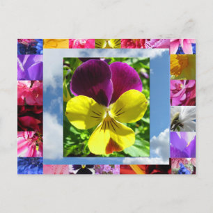 postal de las flores de felicidad