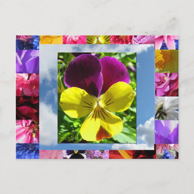 postal de las flores de felicidad (Anverso)