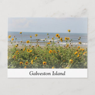 Postal de las flores de la playa de la isla Galves