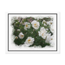 Postal de las flores de mayo