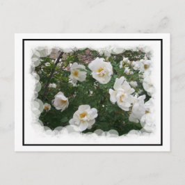 Postal de las flores de mayo