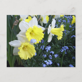 Postal de las flores de primavera