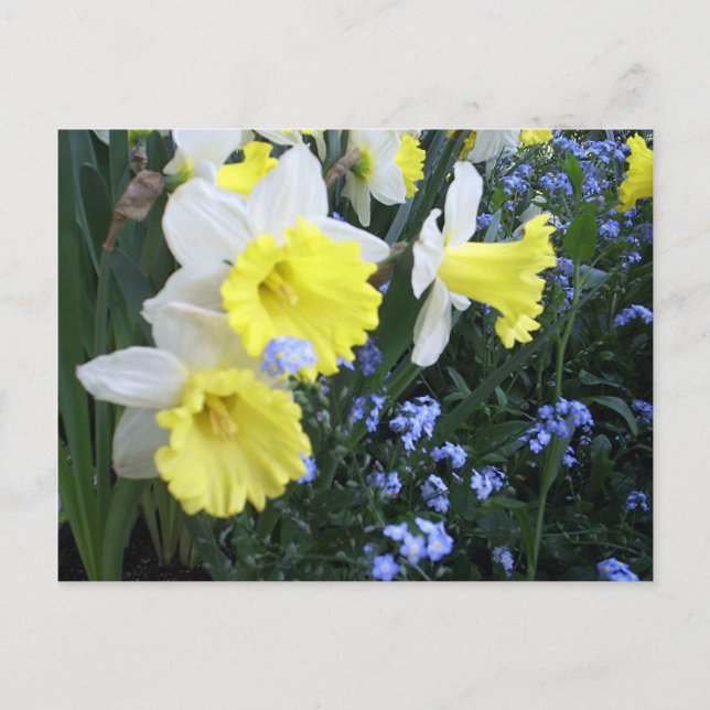 Postal de las flores de primavera (Anverso)