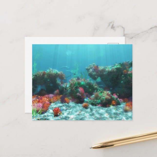 Postal de las flores del mar (Anverso/Reverso In Situ)