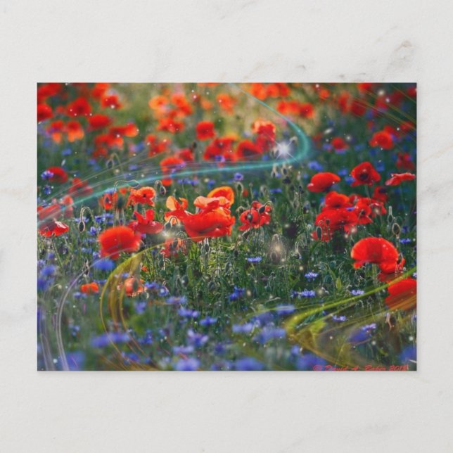 Postal de las ilustraciones de Digitaces (Anverso)