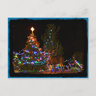 Postal de las luces del reno y de navidad
