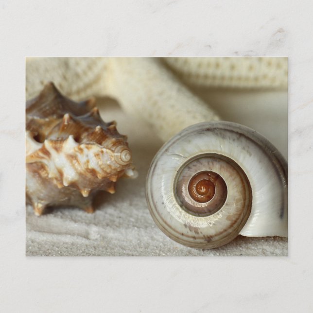 Postal de las marismas y de las estrellas de la pl (Anverso)